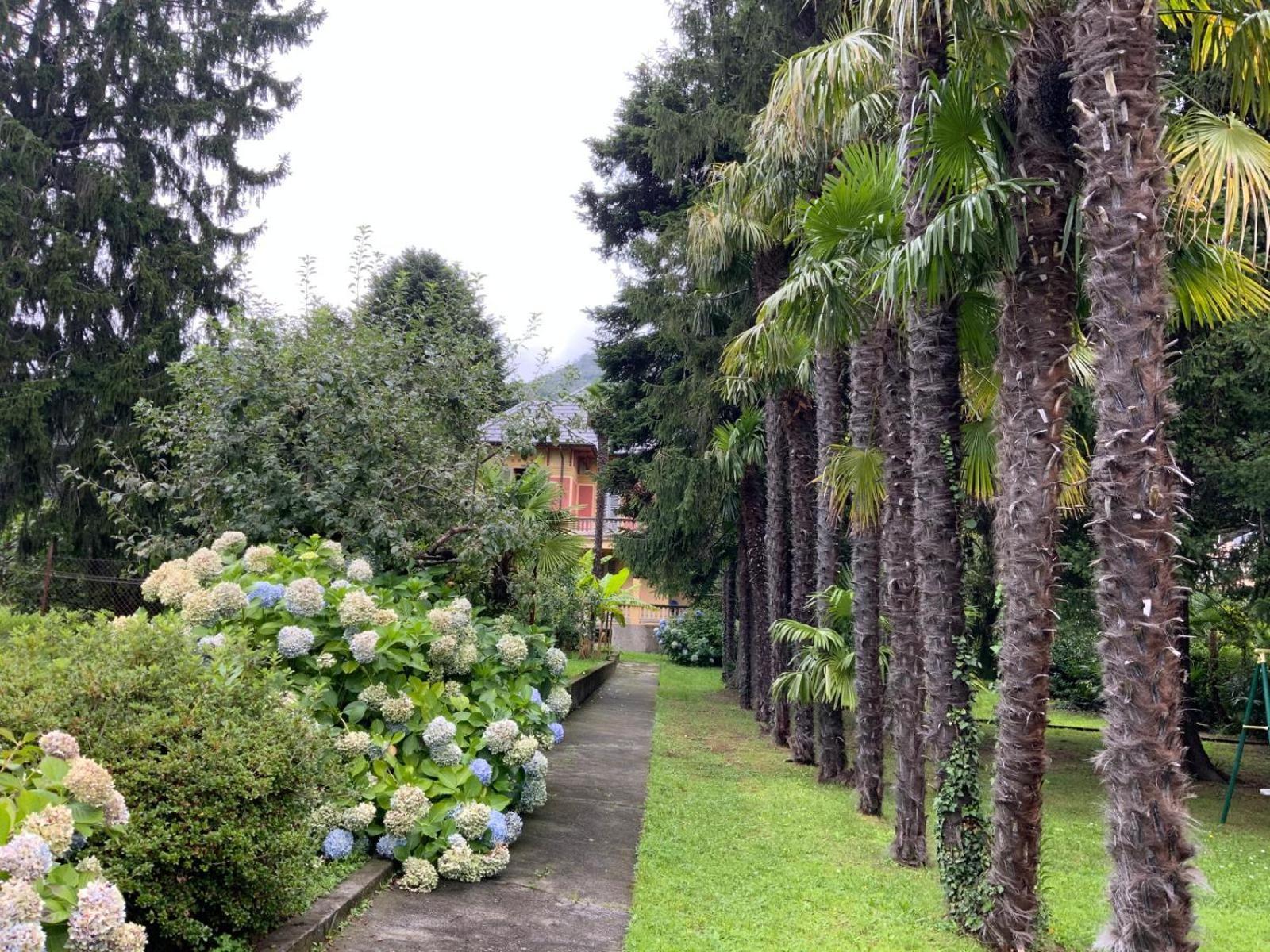 Villa Del Castanar Maccagno Exteriör bild