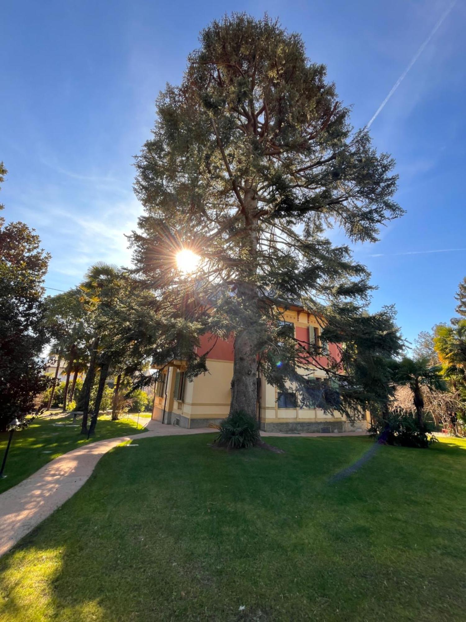 Villa Del Castanar Maccagno Exteriör bild
